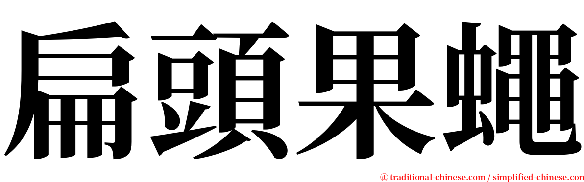 扁頭果蠅 serif font