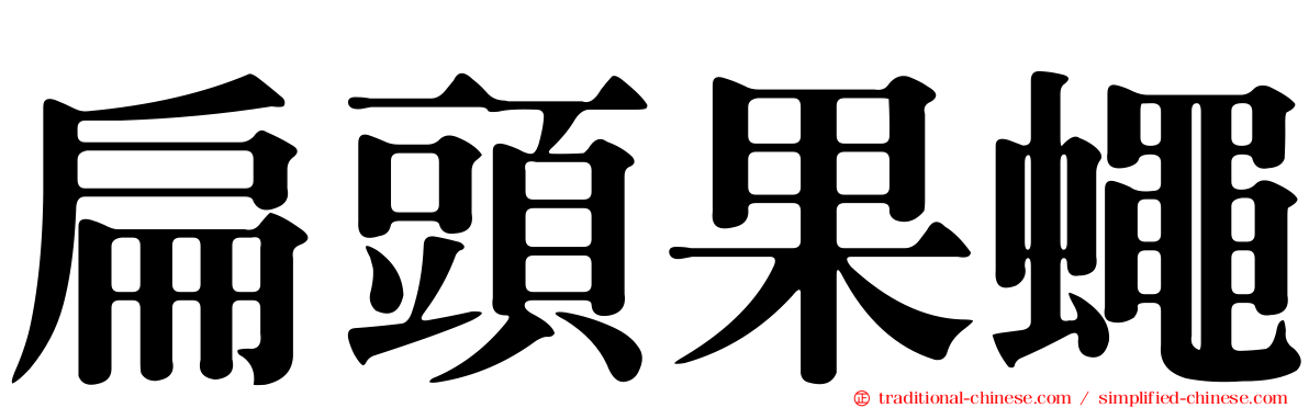扁頭果蠅