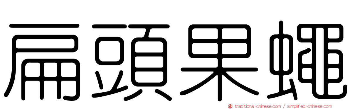 扁頭果蠅