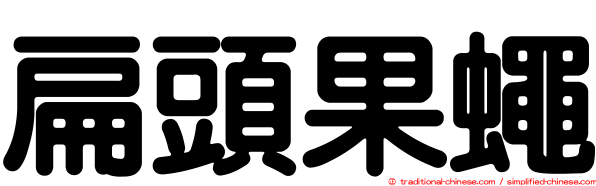 扁頭果蠅