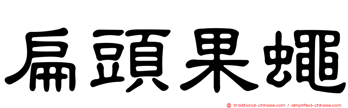 扁頭果蠅