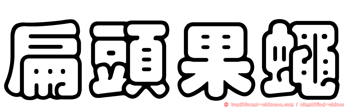 扁頭果蠅