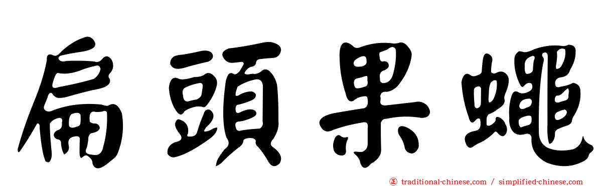 扁頭果蠅