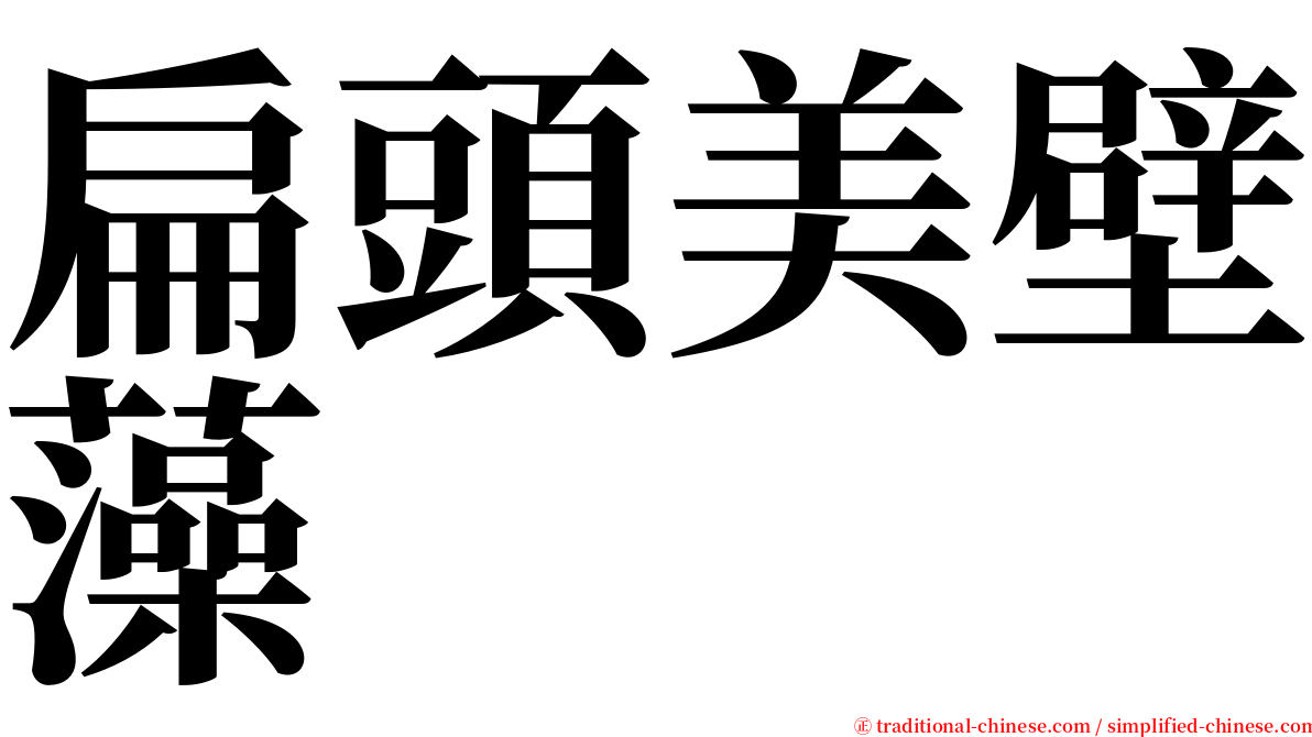 扁頭美壁藻 serif font