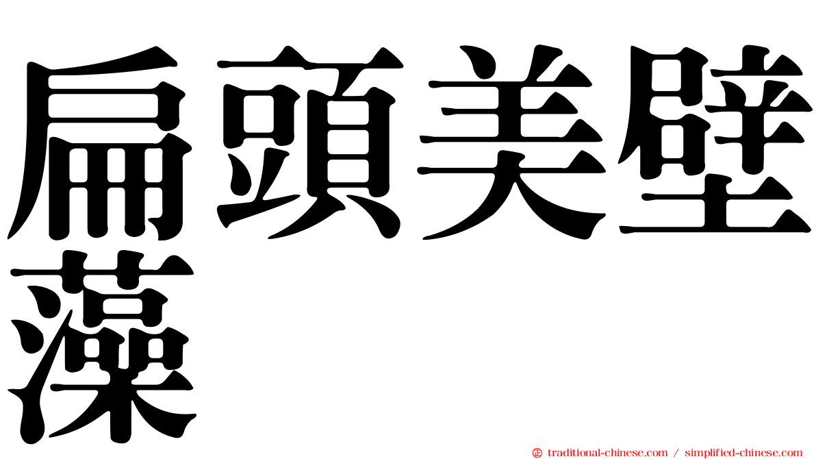 扁頭美壁藻