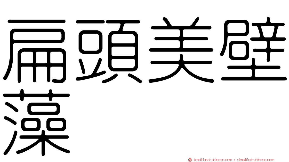 扁頭美壁藻