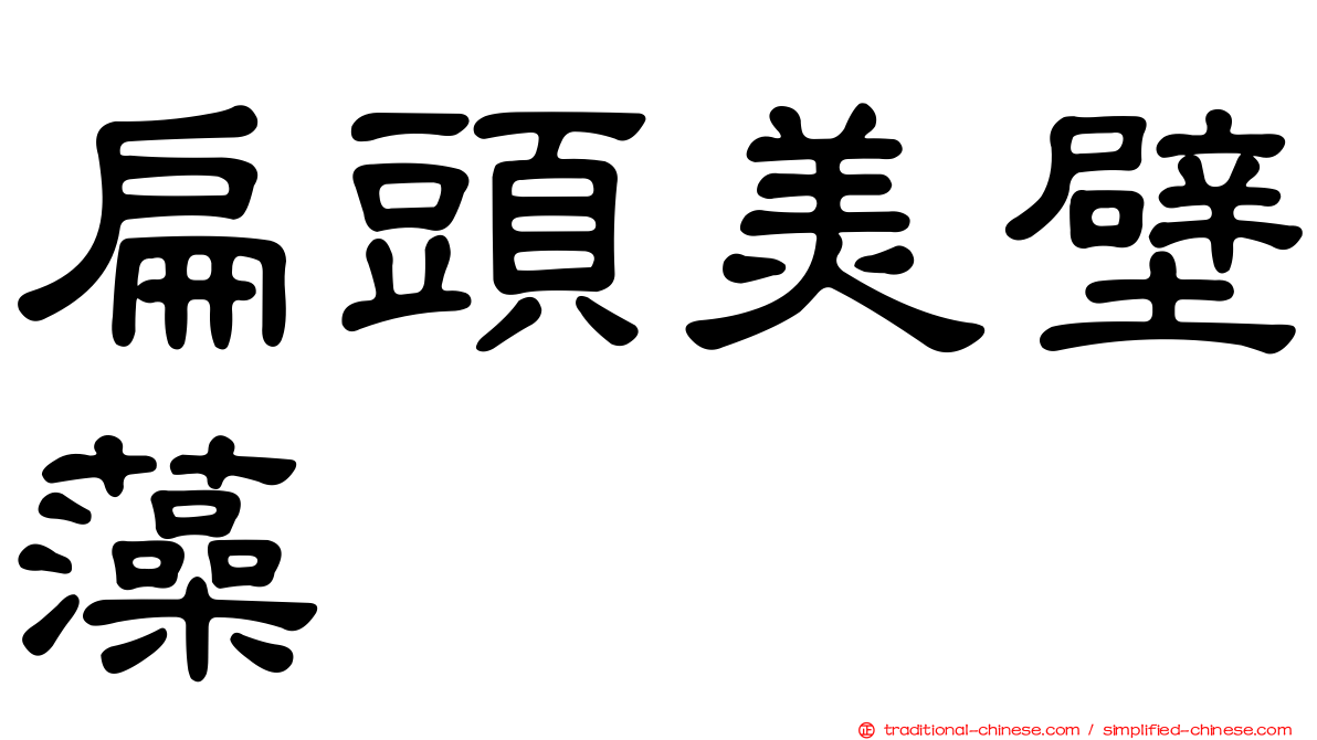 扁頭美壁藻