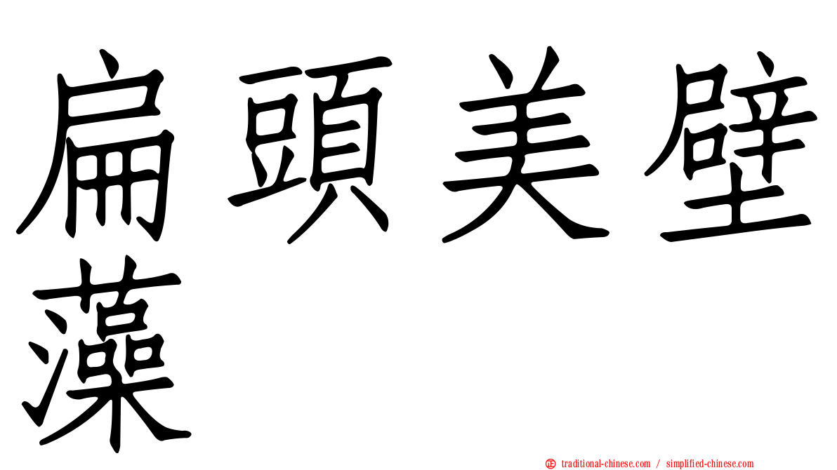 扁頭美壁藻