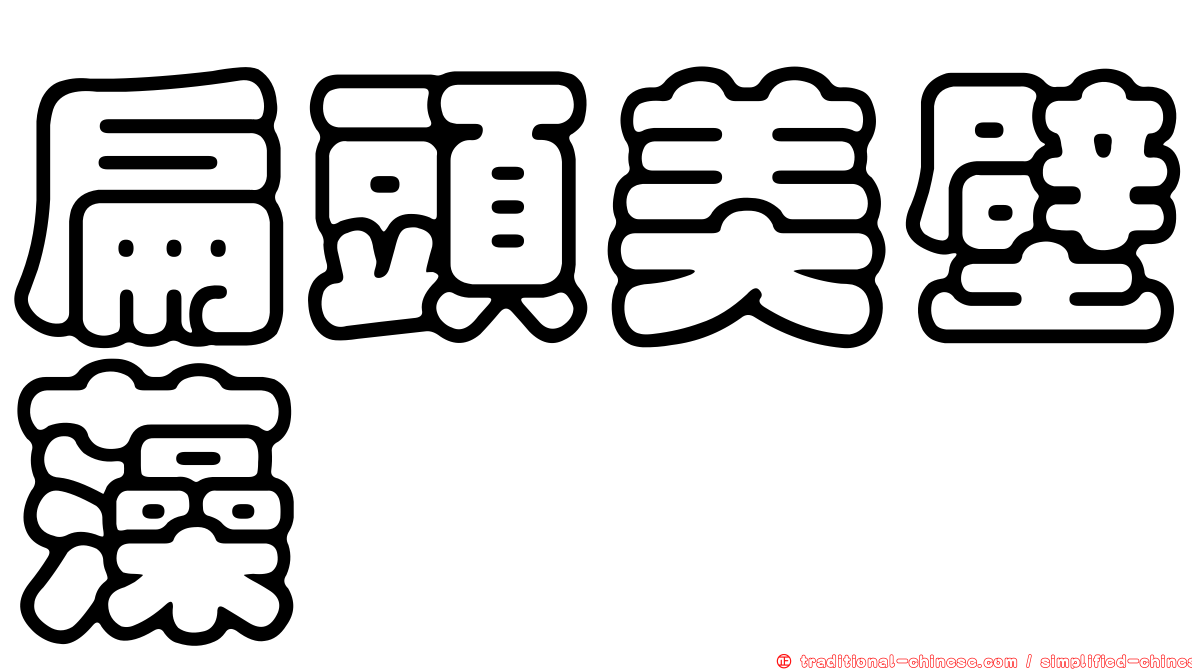 扁頭美壁藻