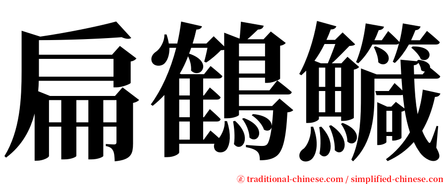 扁鶴鱵 serif font