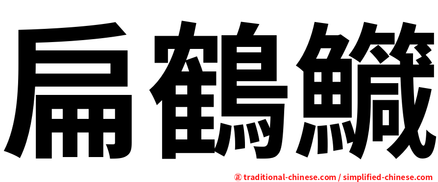 扁鶴鱵