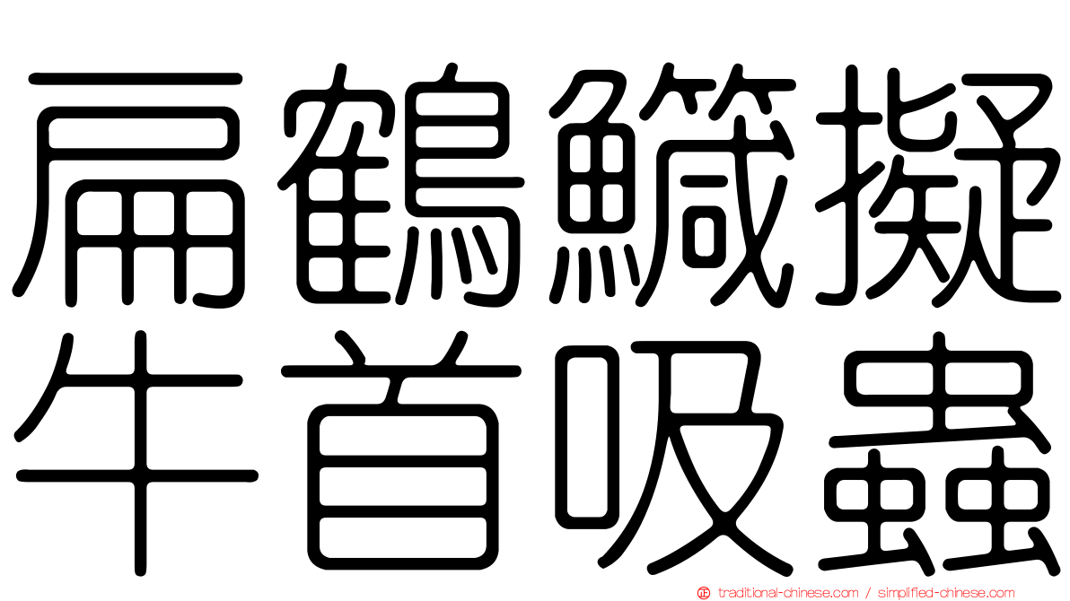 扁鶴鱵擬牛首吸蟲