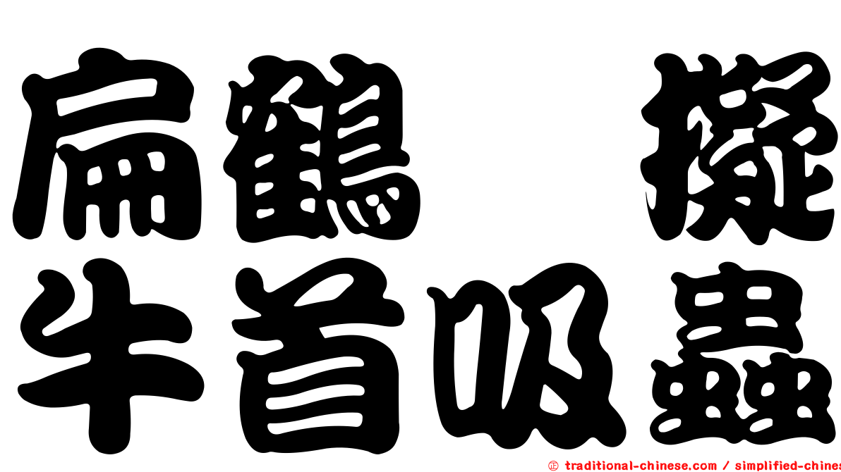 扁鶴鱵擬牛首吸蟲