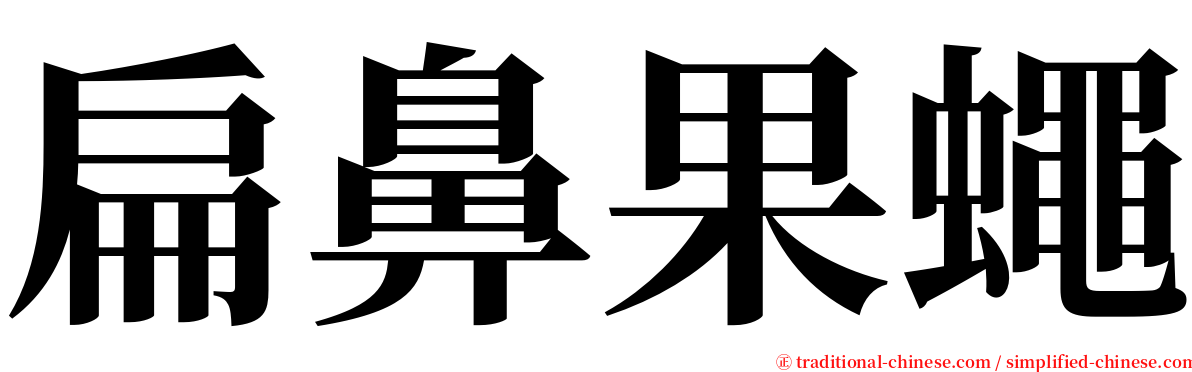 扁鼻果蠅 serif font