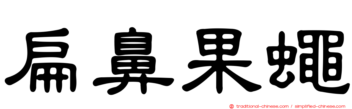 扁鼻果蠅
