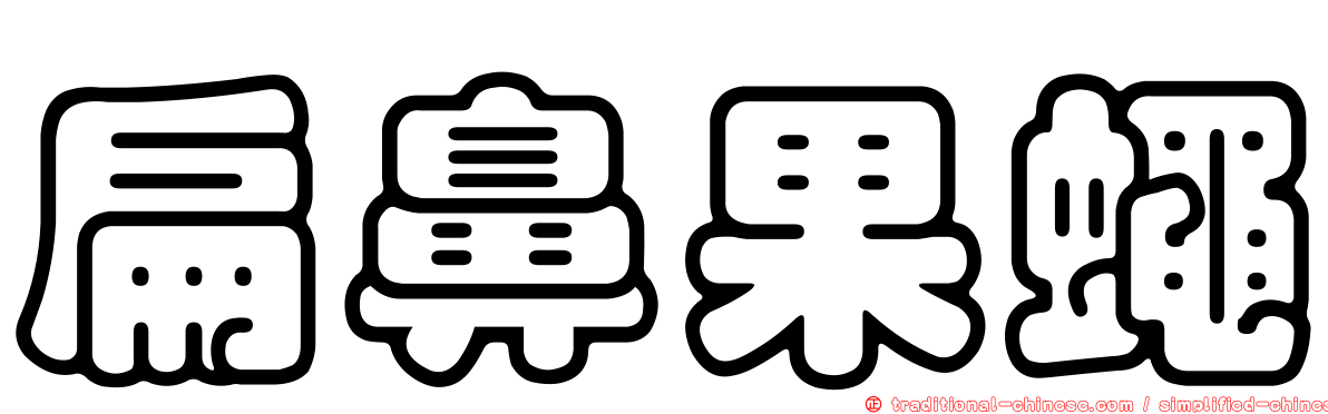 扁鼻果蠅
