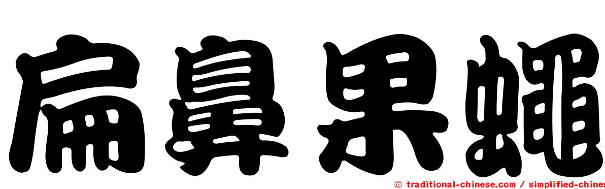 扁鼻果蠅