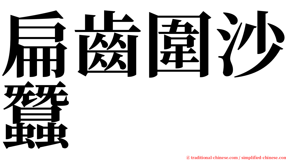 扁齒圍沙蠶 serif font