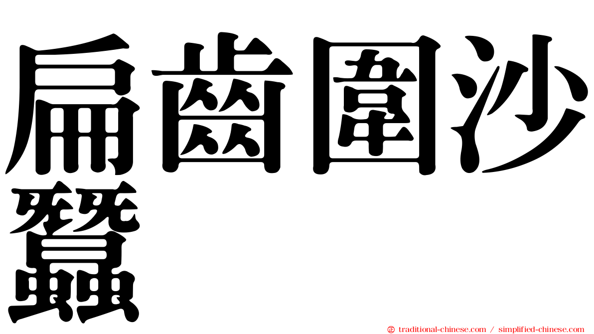 扁齒圍沙蠶