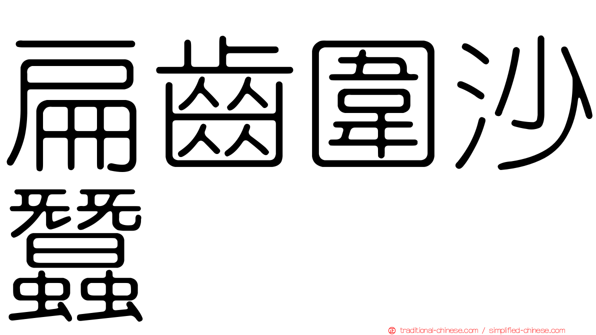 扁齒圍沙蠶