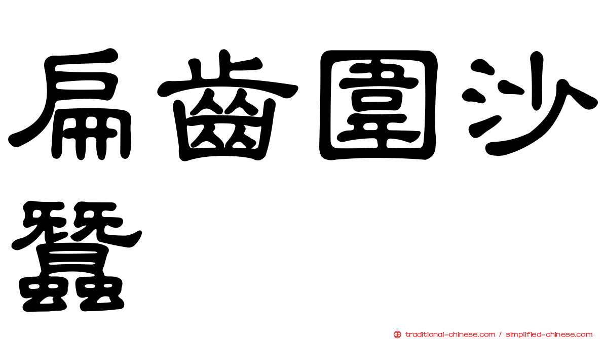 扁齒圍沙蠶