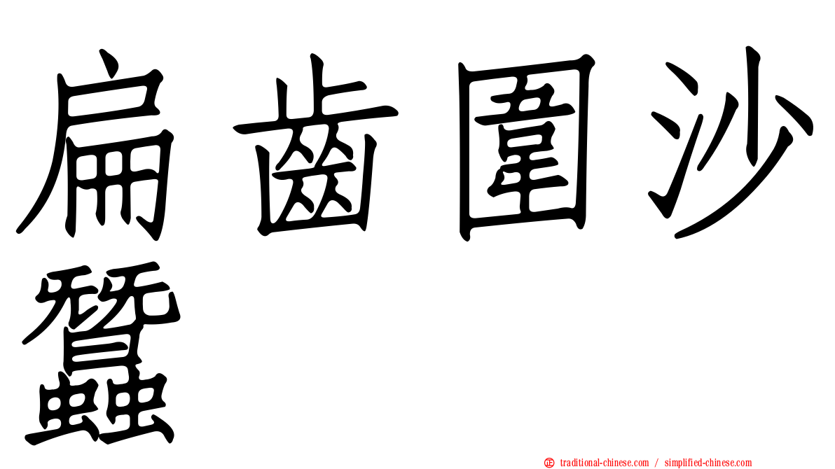 扁齒圍沙蠶