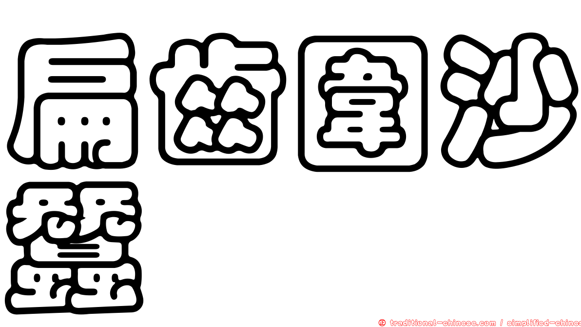 扁齒圍沙蠶