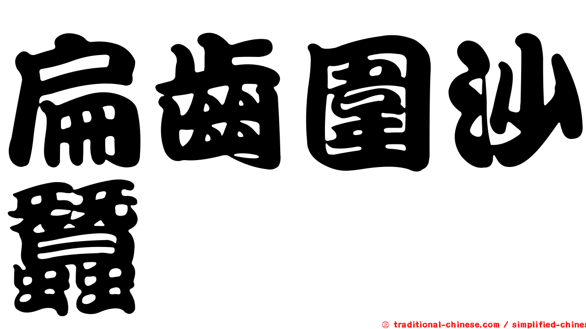 扁齒圍沙蠶