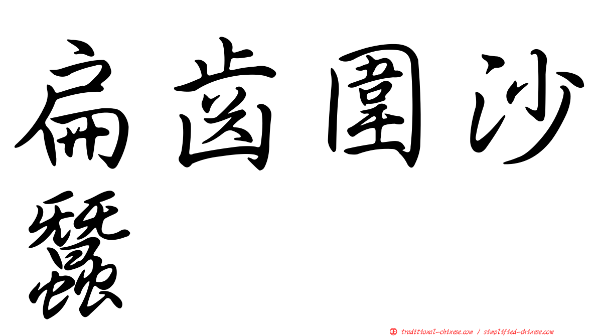 扁齒圍沙蠶