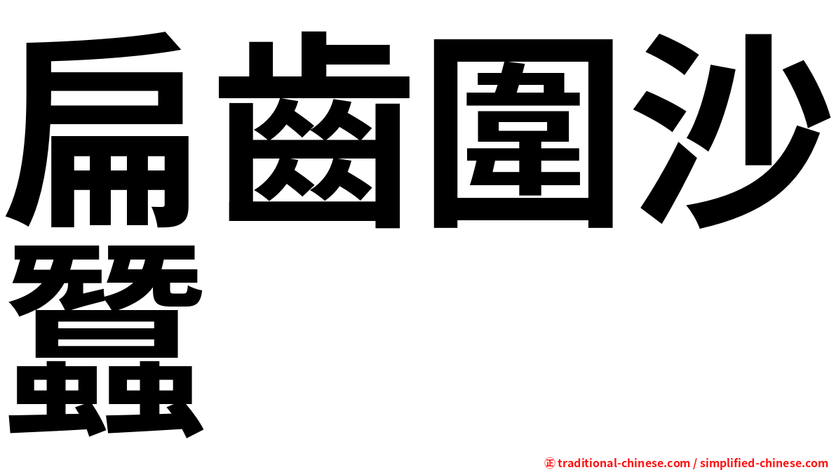 扁齒圍沙蠶