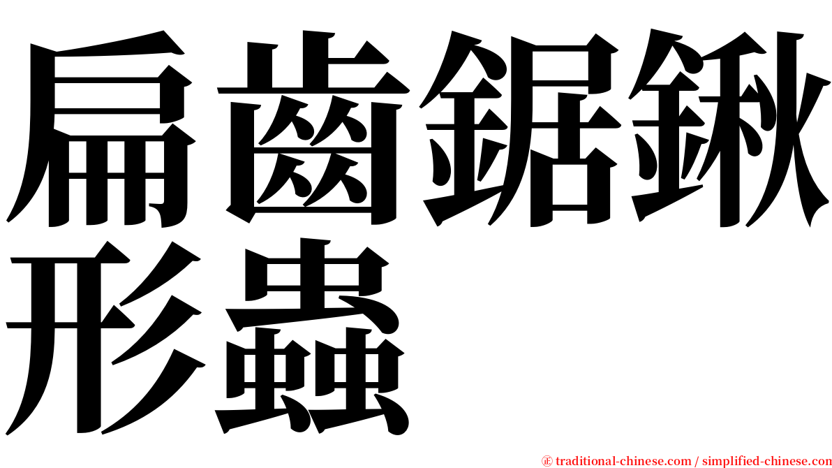 扁齒鋸鍬形蟲 serif font