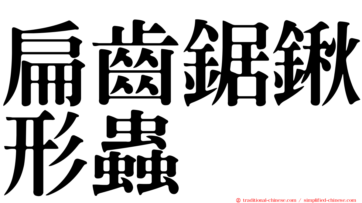 扁齒鋸鍬形蟲