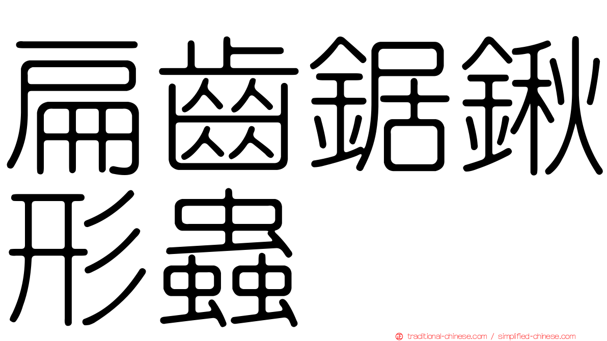 扁齒鋸鍬形蟲