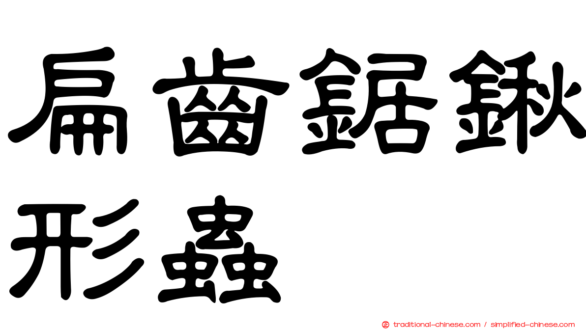 扁齒鋸鍬形蟲