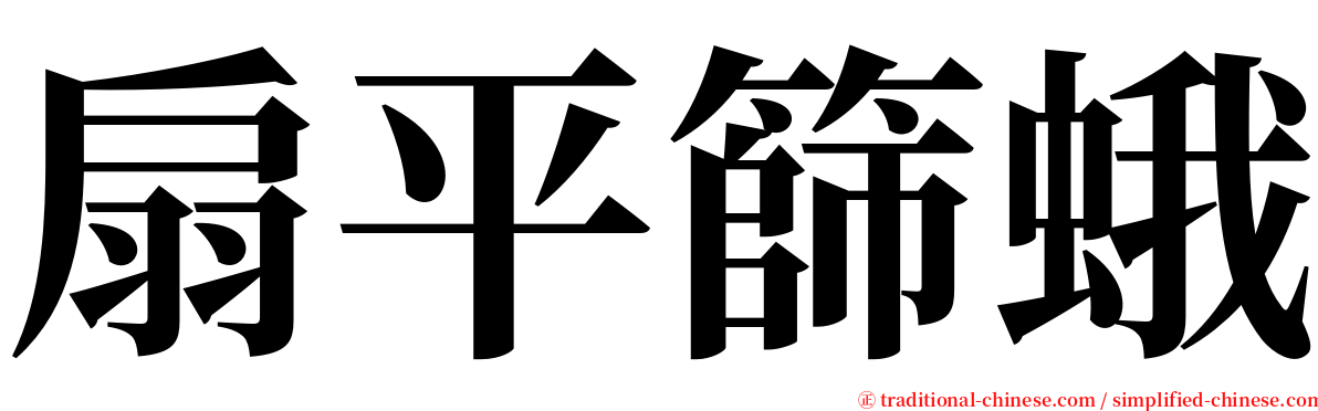 扇平篩蛾 serif font