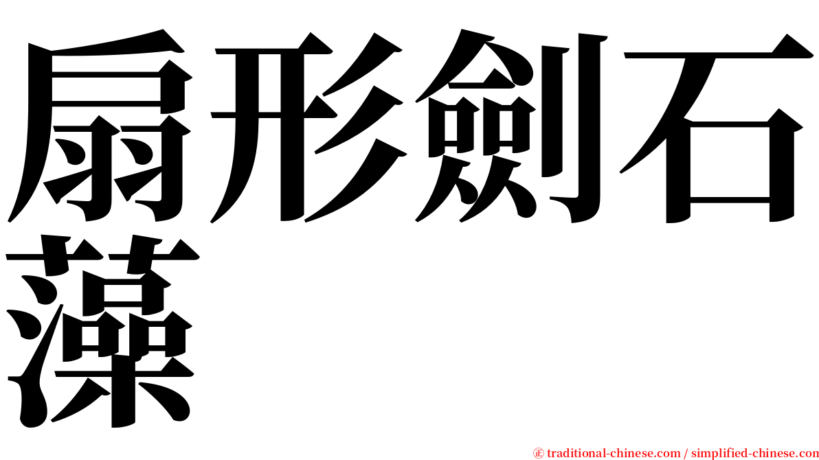 扇形劍石藻 serif font