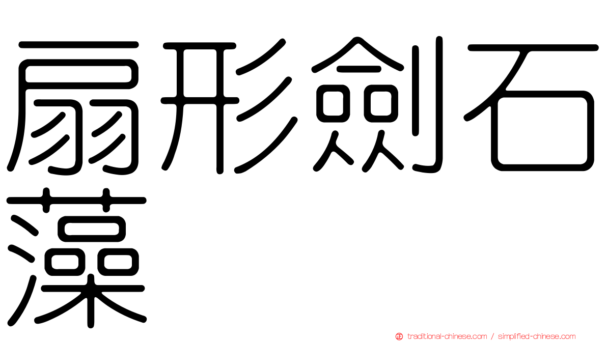 扇形劍石藻