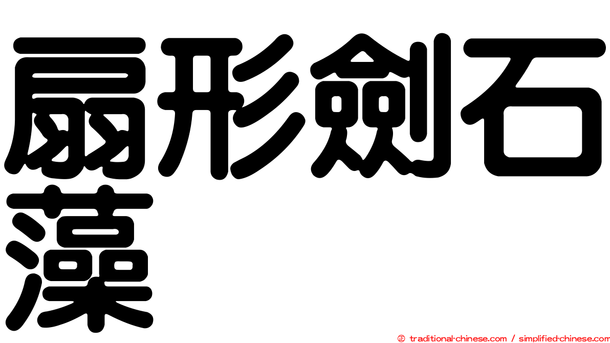 扇形劍石藻