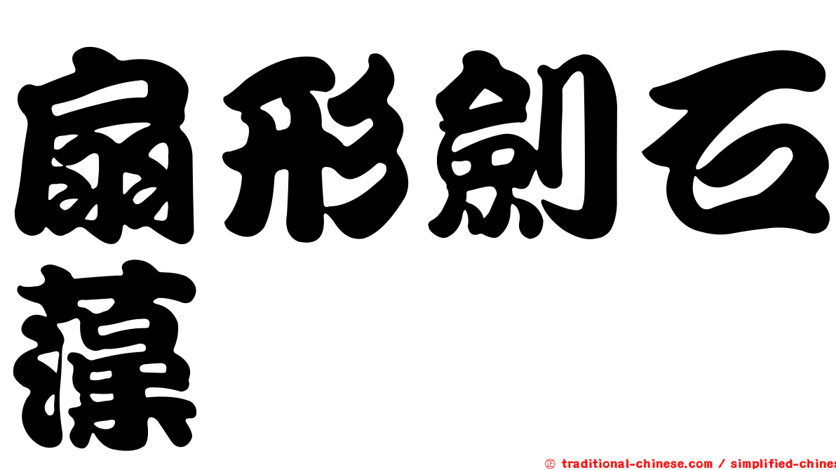 扇形劍石藻