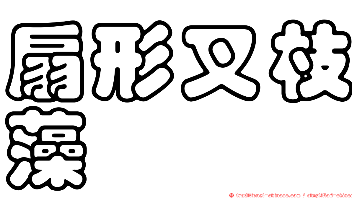 扇形叉枝藻