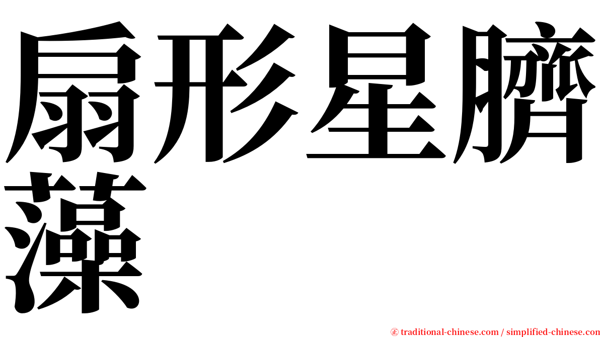 扇形星臍藻 serif font