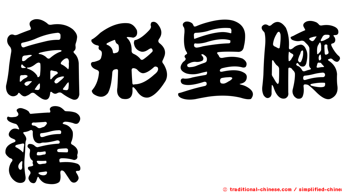 扇形星臍藻