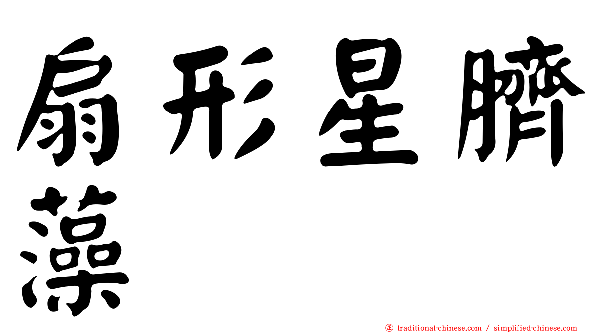 扇形星臍藻
