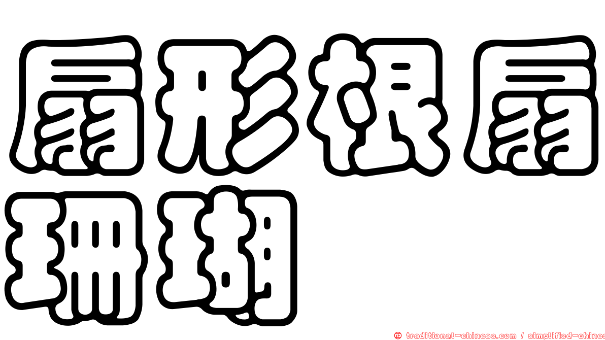 扇形根扇珊瑚