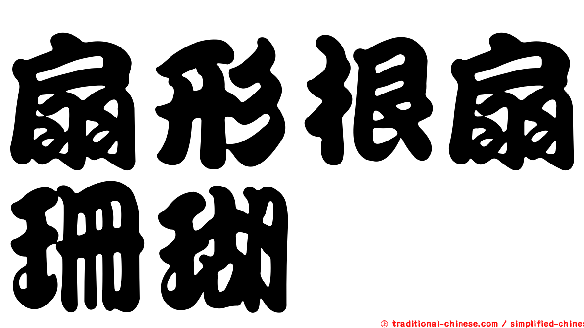 扇形根扇珊瑚