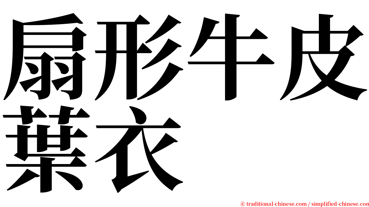 扇形牛皮葉衣 serif font