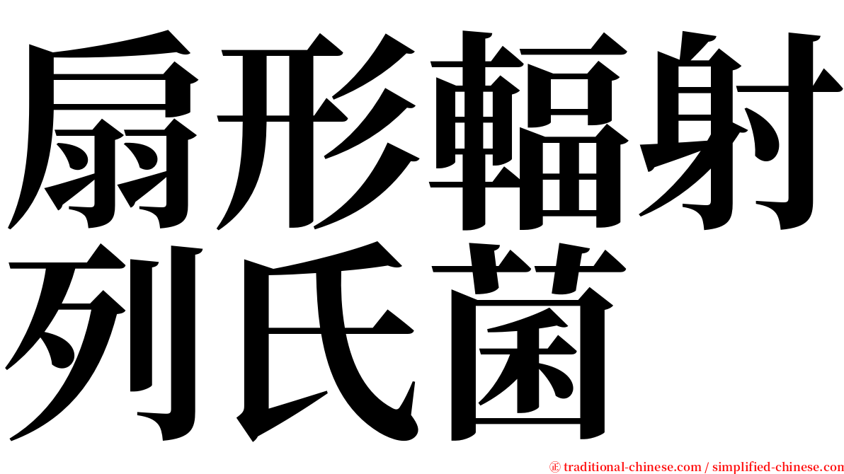 扇形輻射列氏菌 serif font