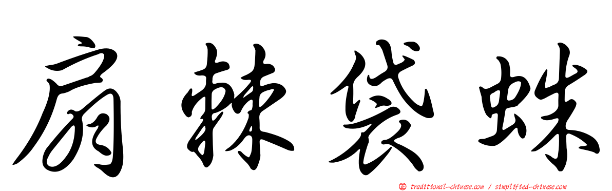 扇棘袋蛛