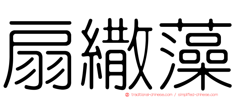 扇繖藻