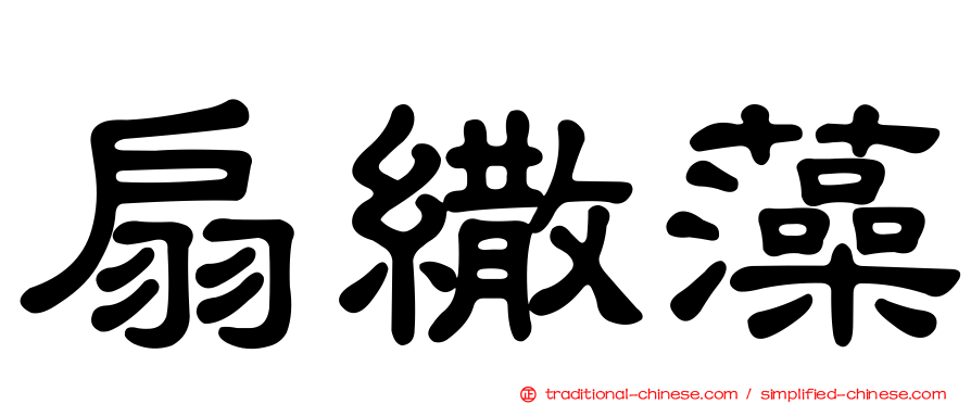 扇繖藻